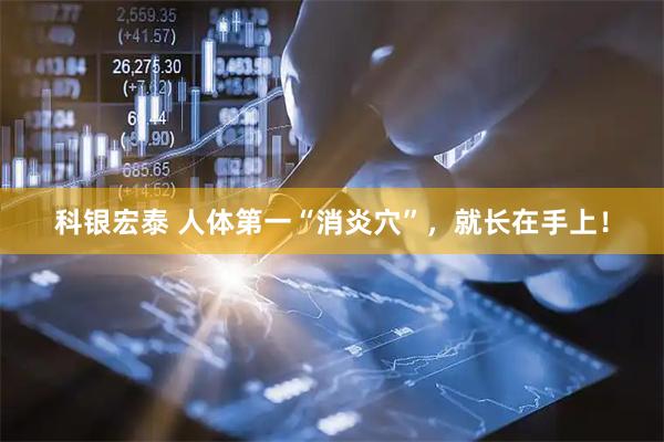 科银宏泰 人体第一“消炎穴”，就长在手上！